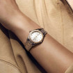 EBEL 1911 - Bild 2