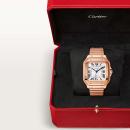 Cartier Santos de Cartier - Bild 8