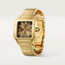 Cartier Santos de Cartier - Bild 7