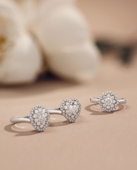 Crivelli Verlobungsringe aus Weißgold mit Herz- und Ovaldesign Crivelli Verlobungsringe aus Weißgold mit Herz- und Ovaldesign auf sandbraunem Untergrund mit weissen Blumen im Hintergrund Crivelli Verlobungsringe aus Weißgold mit Herz- und Ovaldesign Crivelli Verlobungsringe aus Weißgold mit Herz- und Ovaldesign auf sandbraunem Untergrund mit weissen Blumen im Hintergrund